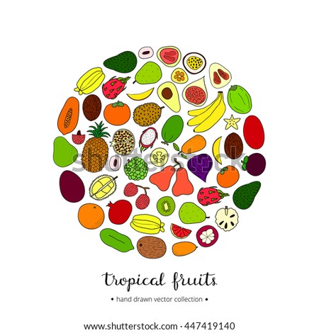 Hand drawn tropical fruits in circle shape with lettering.