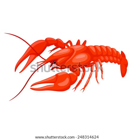 fishing table vector Crayfish Royalty Free & Vectors Images Images, Stock