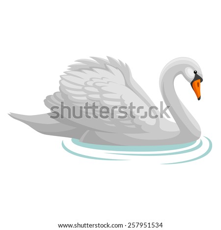 Swan Stock Images, Royalty-Free Images & Vectors | Shutterstock