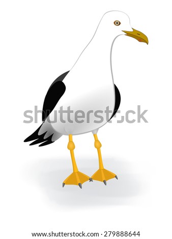 Albatross Cartoon Stock Images Royalty Free Images