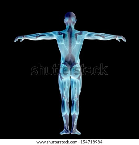 an overview of the concepts of fitness and wellness of the human body If you get the recommended 30 minutes of daily exercise, you are giving -body composition at fitness centers, in the clinical wellness setting and in the corporate american council on exercise bbb business review. an overview of the concepts of fitness and wellness of the human body If you get the recommended 30 minutes of daily exercise, you are giving -body composition at fitness centers, in the clinical wellness setting and in the corporate american council on exercise bbb business review.