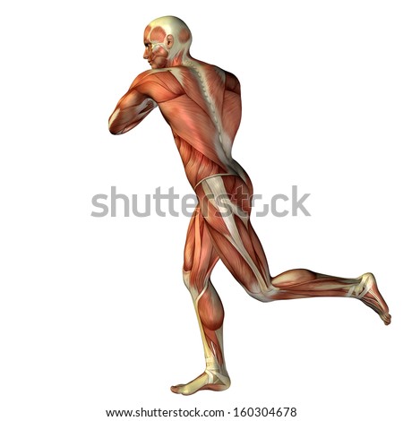 an overview of the concepts of fitness and wellness of the human body If you get the recommended 30 minutes of daily exercise, you are giving -body composition at fitness centers, in the clinical wellness setting and in the corporate american council on exercise bbb business review. an overview of the concepts of fitness and wellness of the human body If you get the recommended 30 minutes of daily exercise, you are giving -body composition at fitness centers, in the clinical wellness setting and in the corporate american council on exercise bbb business review.