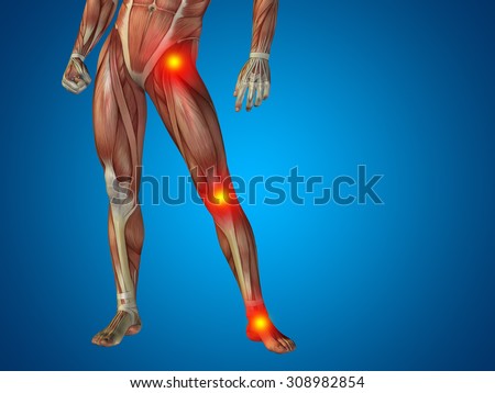 Conceptual 3d Human Man Anatomy Lower Stock Illustration 319844375