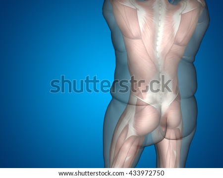 Medical weight loss fort worth photo 1