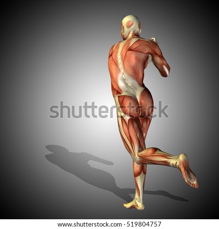 an overview of the concepts of fitness and wellness of the human body Fitness and wellness intertwine: a major industry rises feldenkrais ® and other body-mind fitness disciplines has stimulated the expansion of yoga and pilates . an overview of the concepts of fitness and wellness of the human body Fitness and wellness intertwine: a major industry rises feldenkrais ® and other body-mind fitness disciplines has stimulated the expansion of yoga and pilates .