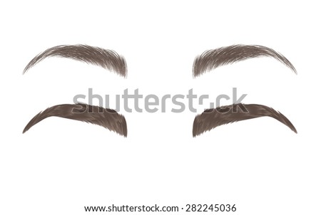 Vector Eyebrows Realistic Cartoon Style Stock Vector 282245036