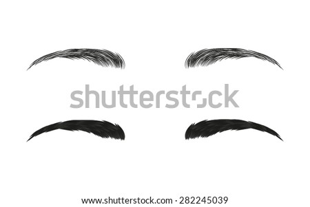 Vector Eyebrows Realistic Cartoon Style Stock Vector 282245039