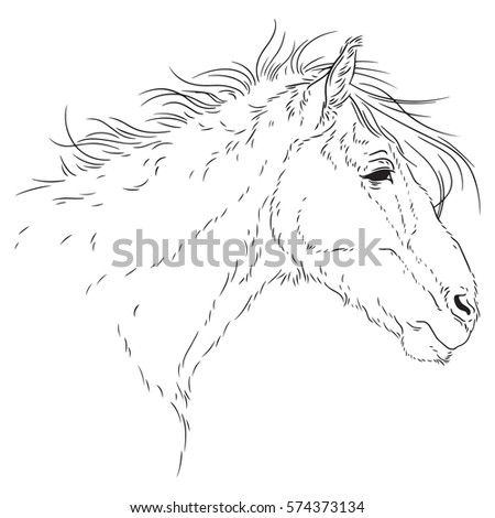 Horse Style Chinese Painting Year Horse Stock Vector 156908009