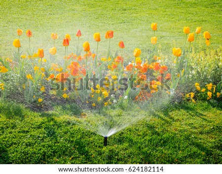 Smart garden activated with full automatic sprinkler irrigation system working early in the morning in green park watering lawn and colourful flowers tulips narcissus and other types of spring flowers