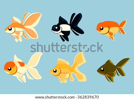 Various goldfish strains in simple vector illustration.