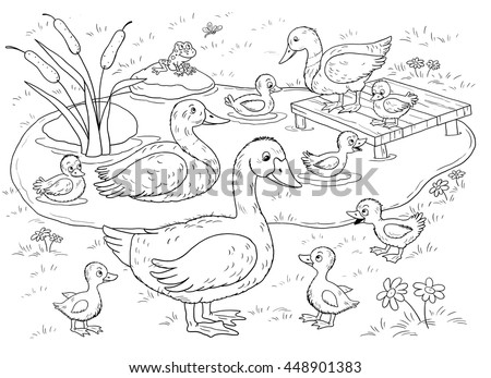 Farm Domestic Animals Cute Duck Ducklings Stock Illustration 448901383 Shutterstock