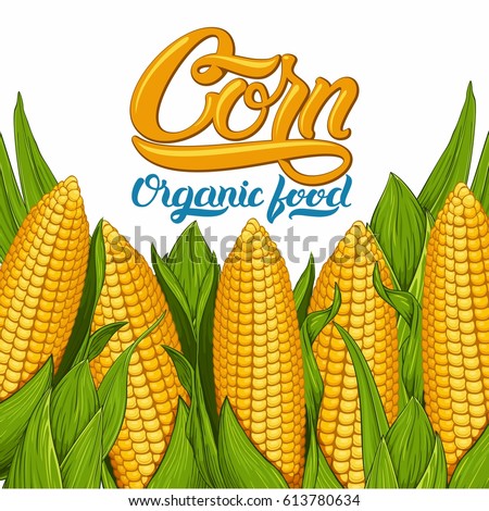 Background with corn