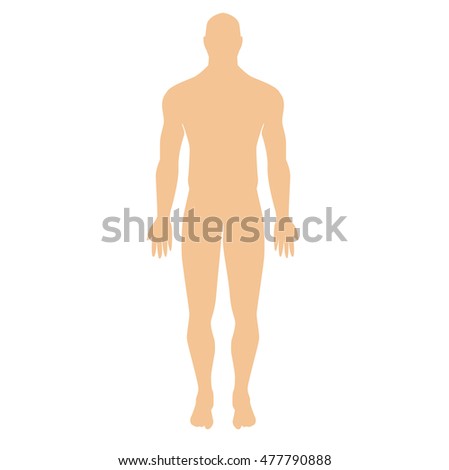 Male Body Shapes Human Body Outline Stock Vector 130631195 - Shutterstock