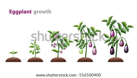 Anton Malina's Portfolio on Shutterstock