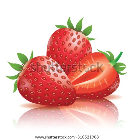 Realistic strawberry illustration