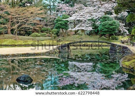 Japanese Garden Cherry Blossom Bridge japanese garden scenic stone zen stock images, royalty-free images Japanese Garden Cherry Blossom Bridge japanese garden scenic stone zen stock images, royalty-free images
