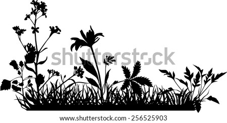 Image Result For Tropical House Plants Image Result For Tropical House Plants