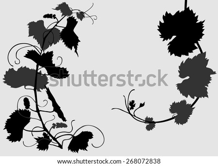 Grape Vine Silhouette Stock Images, Royalty-Free Images & Vectors ...