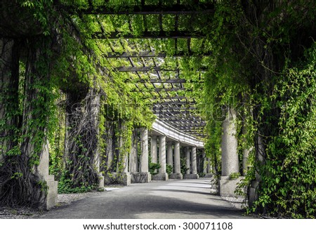 stock-photo-garden-archway-in-bloom-pergola-wroclaw-poland-300071108.jpg