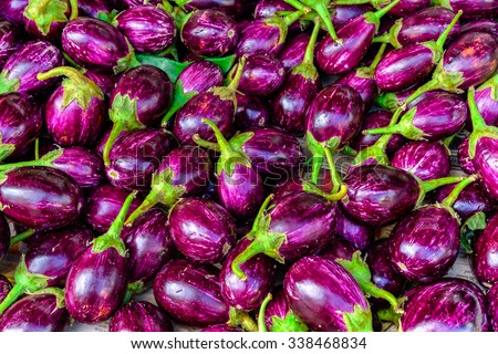 Brinjal Stock Images, Royalty-Free Images & Vectors | Shutterstock