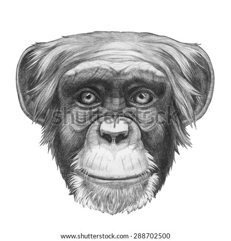Monkey head Stock Photos, Images, & Pictures | Shutterstock