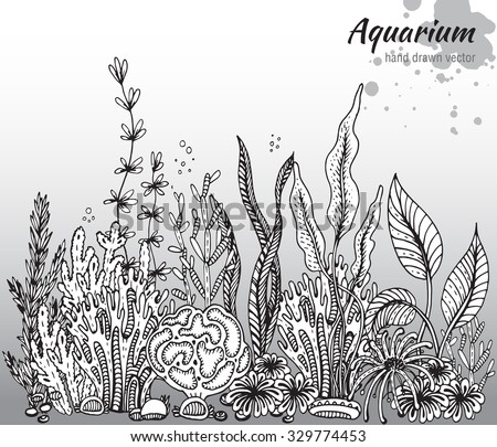 Vector monochrome hand drawn illustration with aquarium algae, corals. Underwater world. Black and white hand drawn illustration