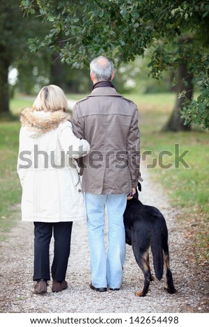 Older Couple Walking Dog Stock Photo 105514607 - Shutterstock