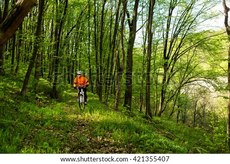 Cyclist Riding the Bike on a Trail in Summer Forest
