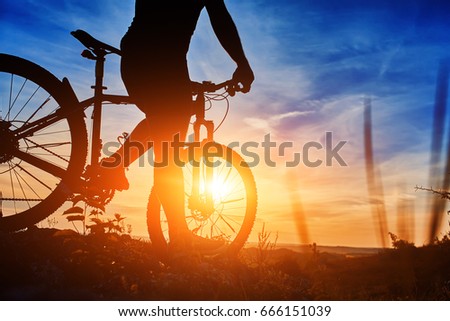 stock-photo-close-up-of-the-silhouette-o