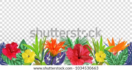 Floral Seamless Border Background Isolated Colorful Stock Vector ...