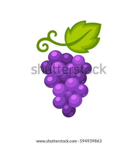 Grapes stylized isolated illustration, bright cartoon color. Wine vector logo art.