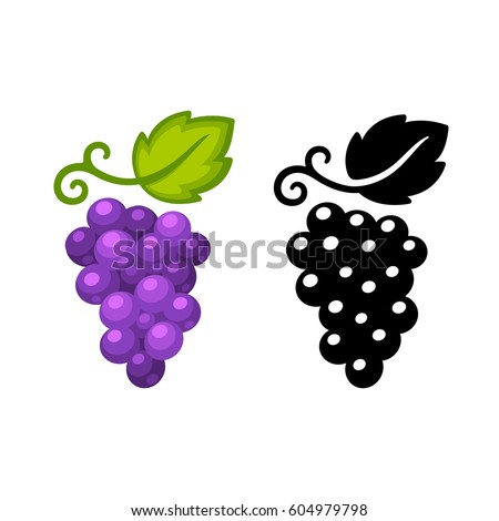 Grape vine vector icon in black and color. Simple and stylish wine logo illustration.