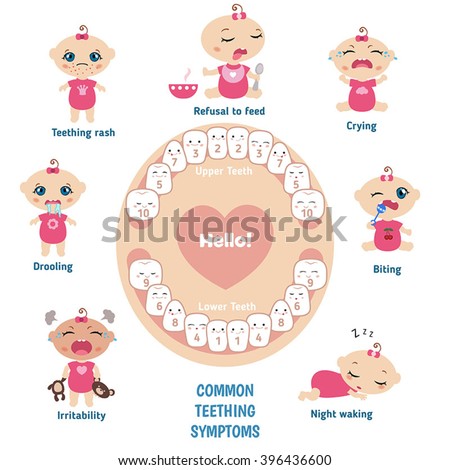 Image result for teething