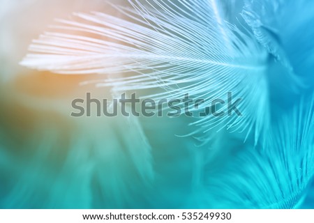 Turquoise Stock Images Royalty Free Images Vectors Turquoise Stock Images Royalty Free Images Vectors