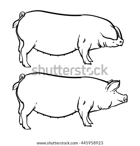 Realistic Pig Clip Art - photo #21