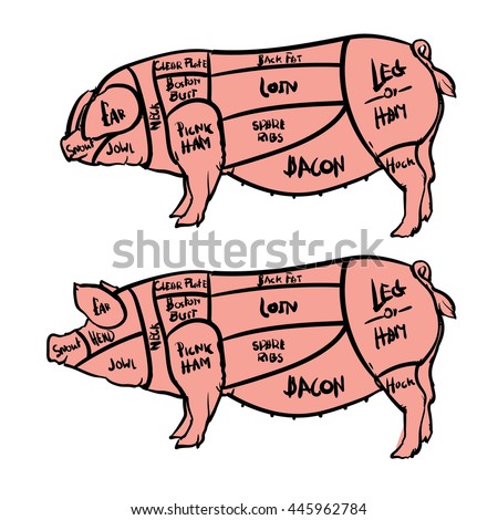 Pork Beef Cuts American Stock Vector 98596568 - Shutterstock