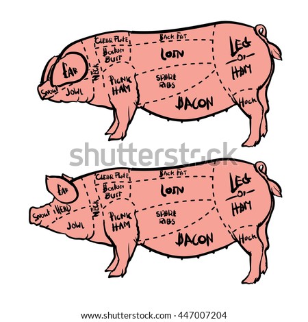 Pork Beef Cuts American Stock Vector 98596568 - Shutterstock