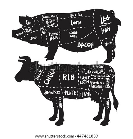 Pork Beef Cuts Diagram Butchery Set Stock Vector 447461839 - Shutterstock