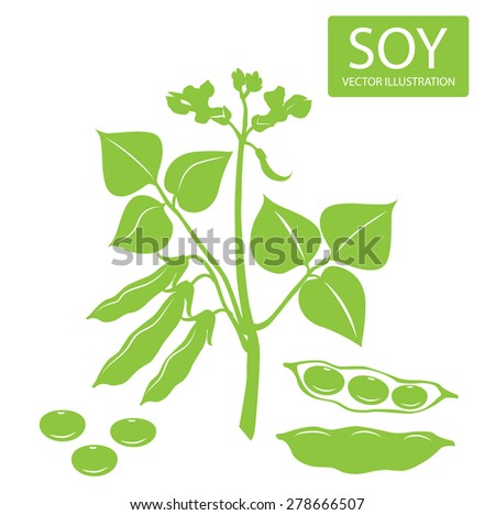 Soybeans plant Silhouette Vector Illustrations On A White Background. Soy beans Food green vector icon.