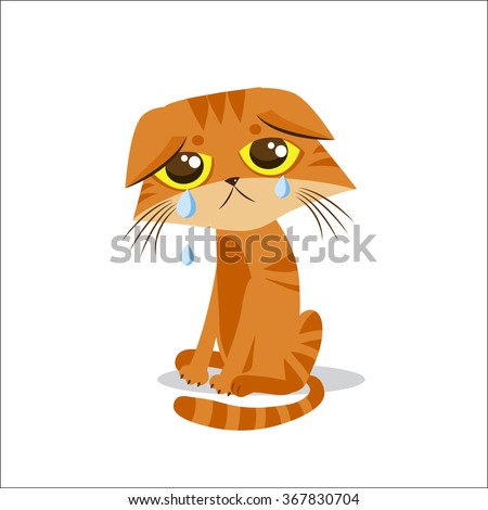 Sad Cat Stock Images, Royalty-Free Images & Vectors ...