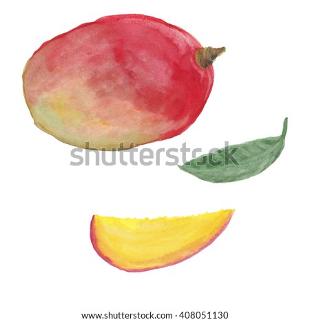 Hand Draw Watercolor Mango Fruit On Stock Illustration 440830123 ...