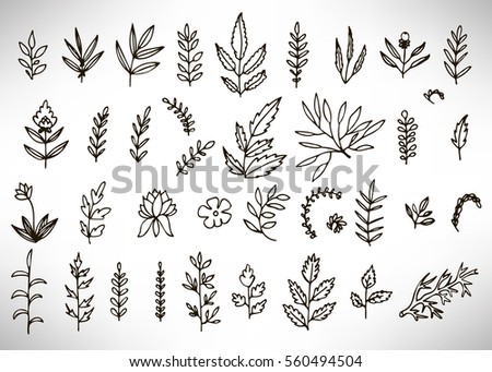 Floral Set of black hand drawn grunge floral elements, tree branch, bush, plant, leaves, flowers, branches petals isolated on white. Collection of flourish elements for design. Vector illustration.