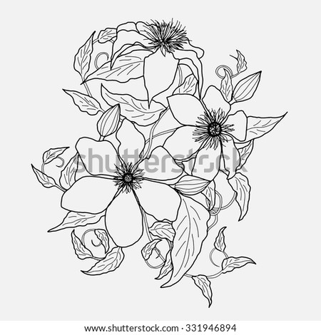 Bouquet Hydrangea Flowers Drawing Sketch Lineart Stock Vector 675045895 ...