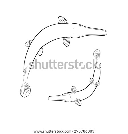 Download Alligator Gar Stock Images, Royalty-Free Images & Vectors | Shutterstock