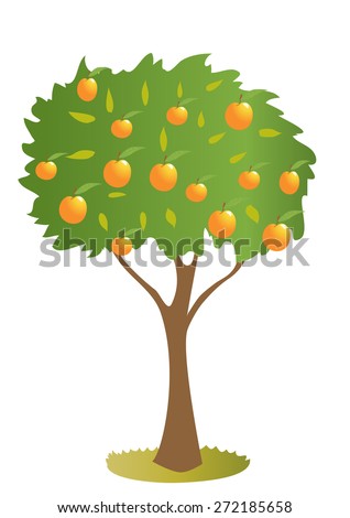 Peach Tree Stock Images, Royalty-Free Images & Vectors | Shutterstock