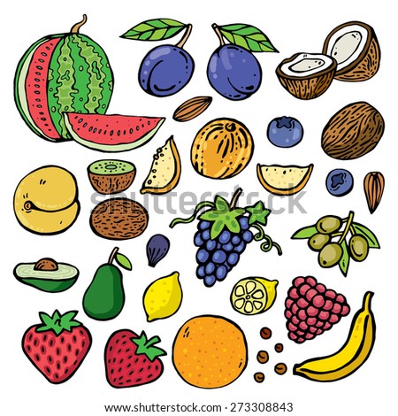 freehand color drawing fruits vector illustration set
