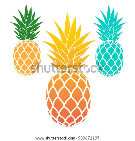 Set of pineapples. exotic fruit. Vector illustration
