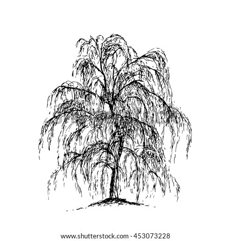 Willow Trees Stock Images, Royalty-Free Images & Vectors | Shutterstock