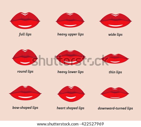 lip filler shapes
