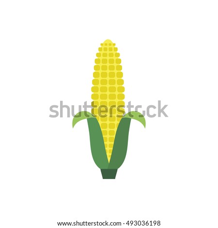 Corn yellow flat icon food natural illustration organic logo vector
